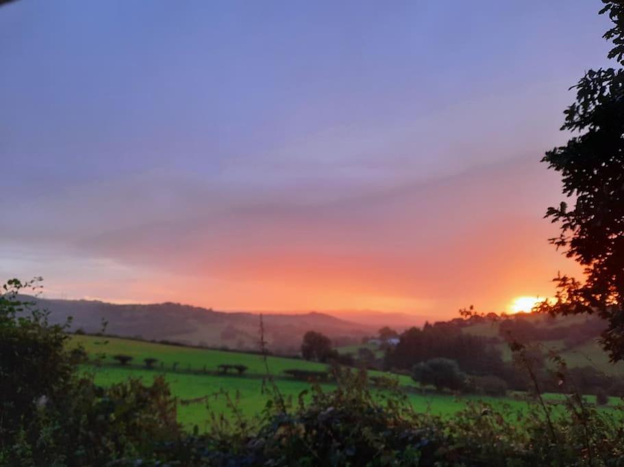 Rhyd Y Geifr, Cosy Barn Conversion In Maerdy Holiday home *